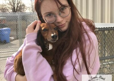 Dog receiving attention during boarding stay at Captain Creek Ranch